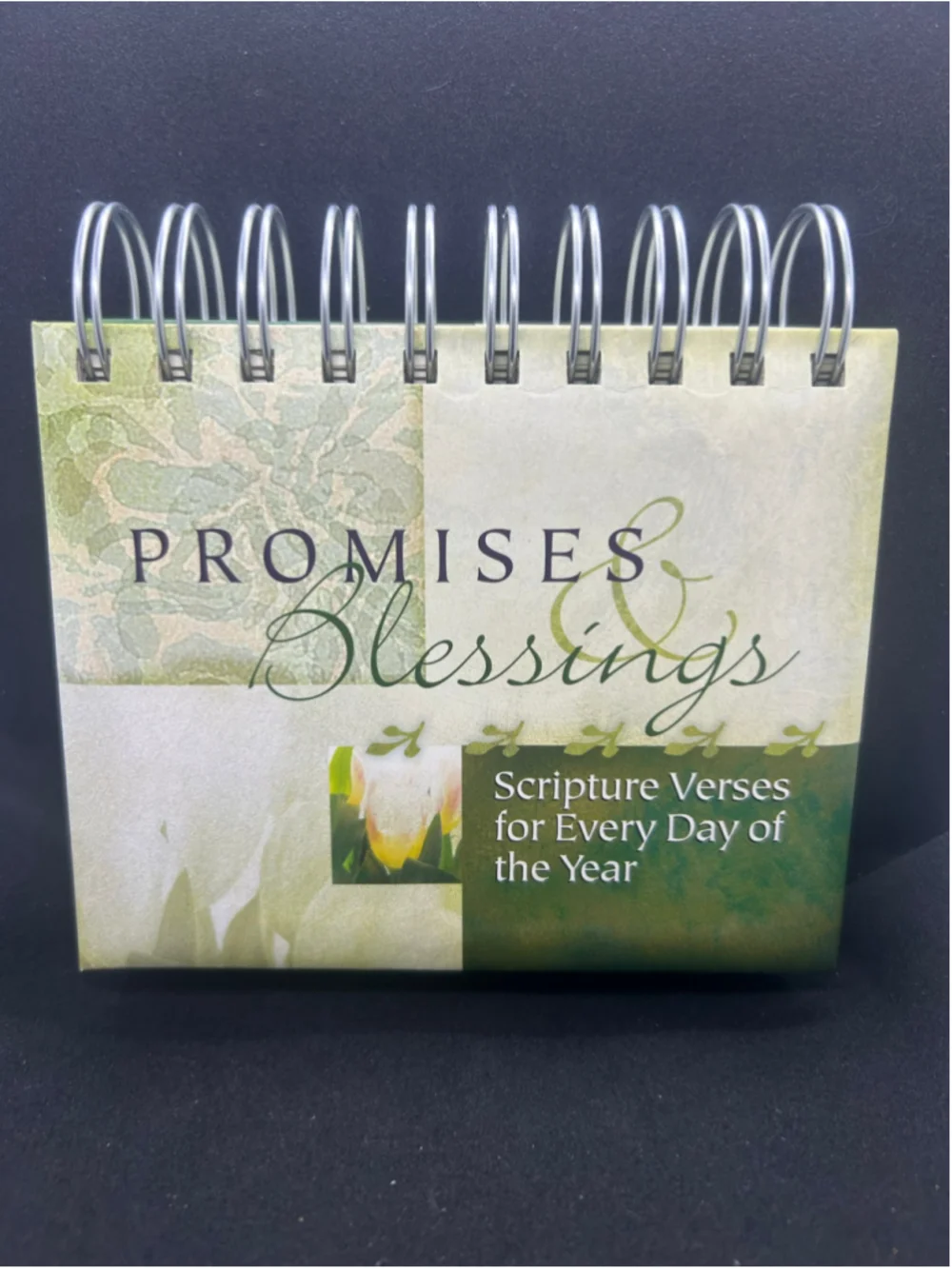 DaySpring Promises & Blessings Scripture Daily Calendar One Size Green White